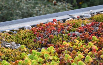 the cost of Ardcharnich green roof installation