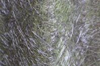 Ardcharnich fibreglass roof work